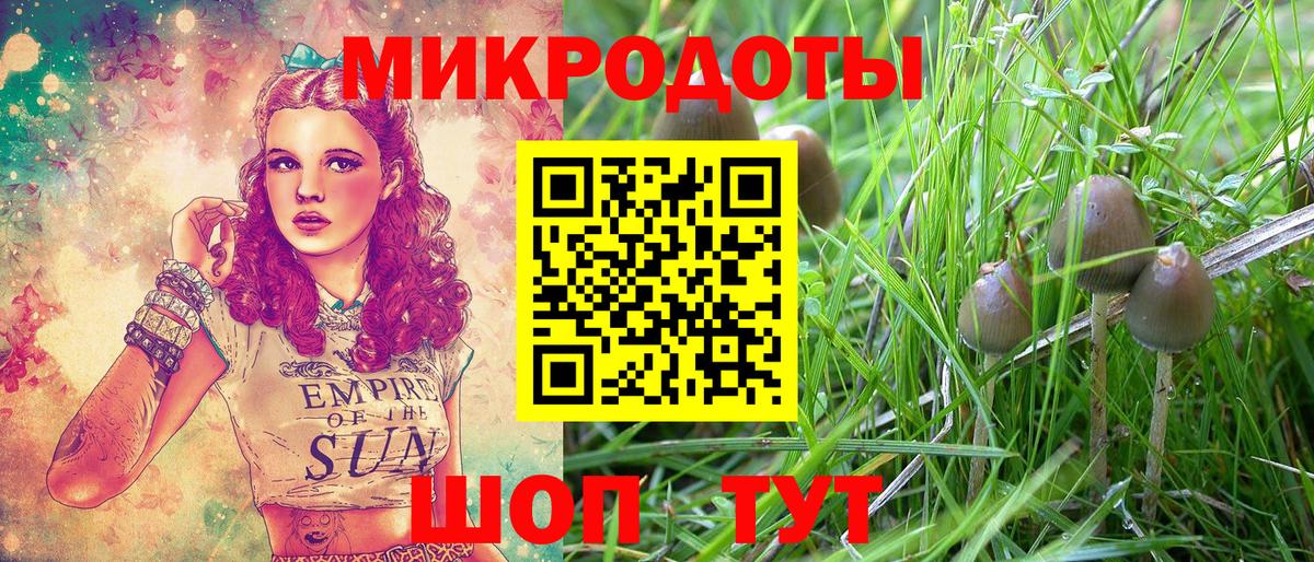 Псилоцибиновые грибы Psilocybine cubensis Кимовск