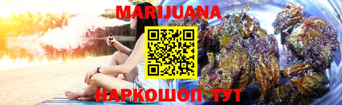 Канабис планчик Кимовск